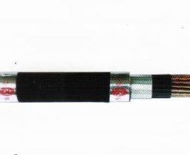 Cáp điều khiển cách điện XLPE và vỏ bọc PVC không chì - 600V
