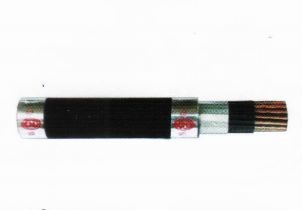 Cáp điều khiển cách điện XLPE và vỏ bọc PVC không chì - 600V