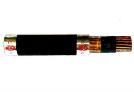 /UserUpload/Product/cap-dieu-khien-co-bang-dong-chong-nhieu-cach-dien-va-vo-boc-pvc-khong-chi-600v.JPG