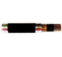Cáp điều khiển có bằng đồng chống nhiễu, cách điện và vỏ bọc PVC không chì - 600V