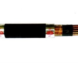 Cáp điều khiển có bằng đồng chống nhiễu, cách điện và vỏ bọc PVC không chì - 600V