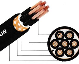 Cáp điều khiển có lưới chống nhiễu - DVV/SB