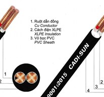 Cáp đồng 2 ruột bọc cách điện XLPE - CXV 2x