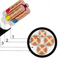 Cáp đồng 4 ruột (1 ruột trung tính nhỏ hơn) bọc cách điện XLPE - CXV 3x+1
