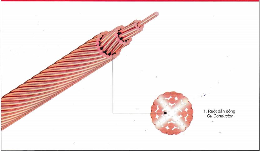 Cáp đồng trần - C (Cáp không ép)
