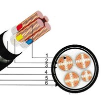 Cáp ngầm 4 ruột (1 ruột trung tính nhỏ hơn) - DSTA 3x+1