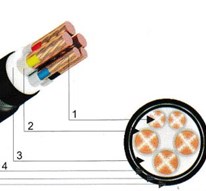 Cáp ngầm 5 ruột (2 ruột trung tính nhỏ hơn) - DSTA 3x+2