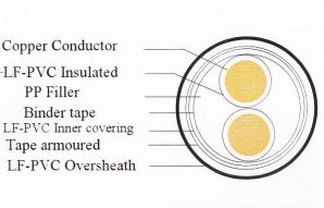 /UserUpload/Product/cap-ngam-ao-giap-bang-thep-cach-dien-pvc-va-vo-boc-pvc-khong-chi-0-6-1kv-3.JPG