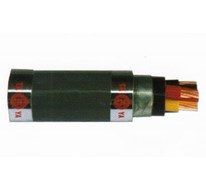 Cáp ngầm áo giáp băng thép, cách điện PVC và vỏ bọc PVC không chì - 0.6/1kV