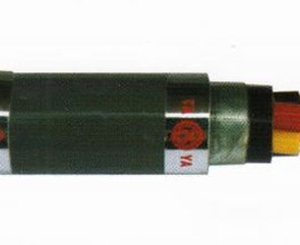 Cáp ngầm áo giáp băng thép, cách điện PVC và vỏ bọc PVC không chì - 0.6/1kV