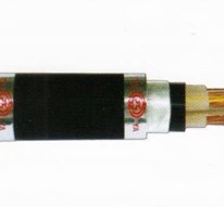 Cáp ngầm áo giáp băng thép, cách điện XLPE và vỏ bọc PVC không chì - 0.6/1kV