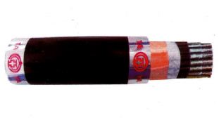 /UserUpload/Product/cap-tin-hieu-chong-chay-cach-dien-xlpe-man-chan-bang-dong-chong-nhieu-600v.JPG
